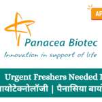 Urgent Freshers Needed In बायोटेक्नोलॉजी | पैनासिया बायोटेक